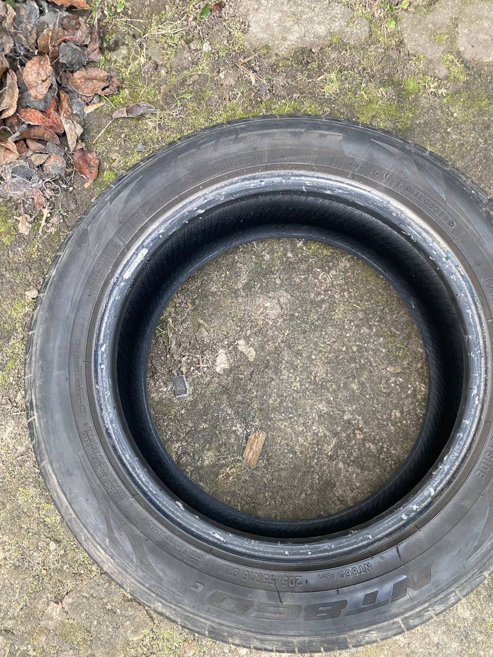 Лето 205 55 R16 - частное объявление в Брянск