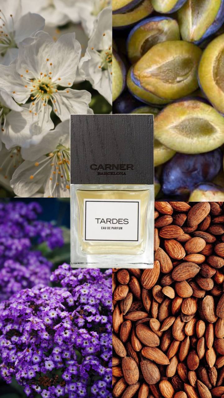 CARNER BARCELONA Tardes - Красота и здоровье в Челябинск - фото 5