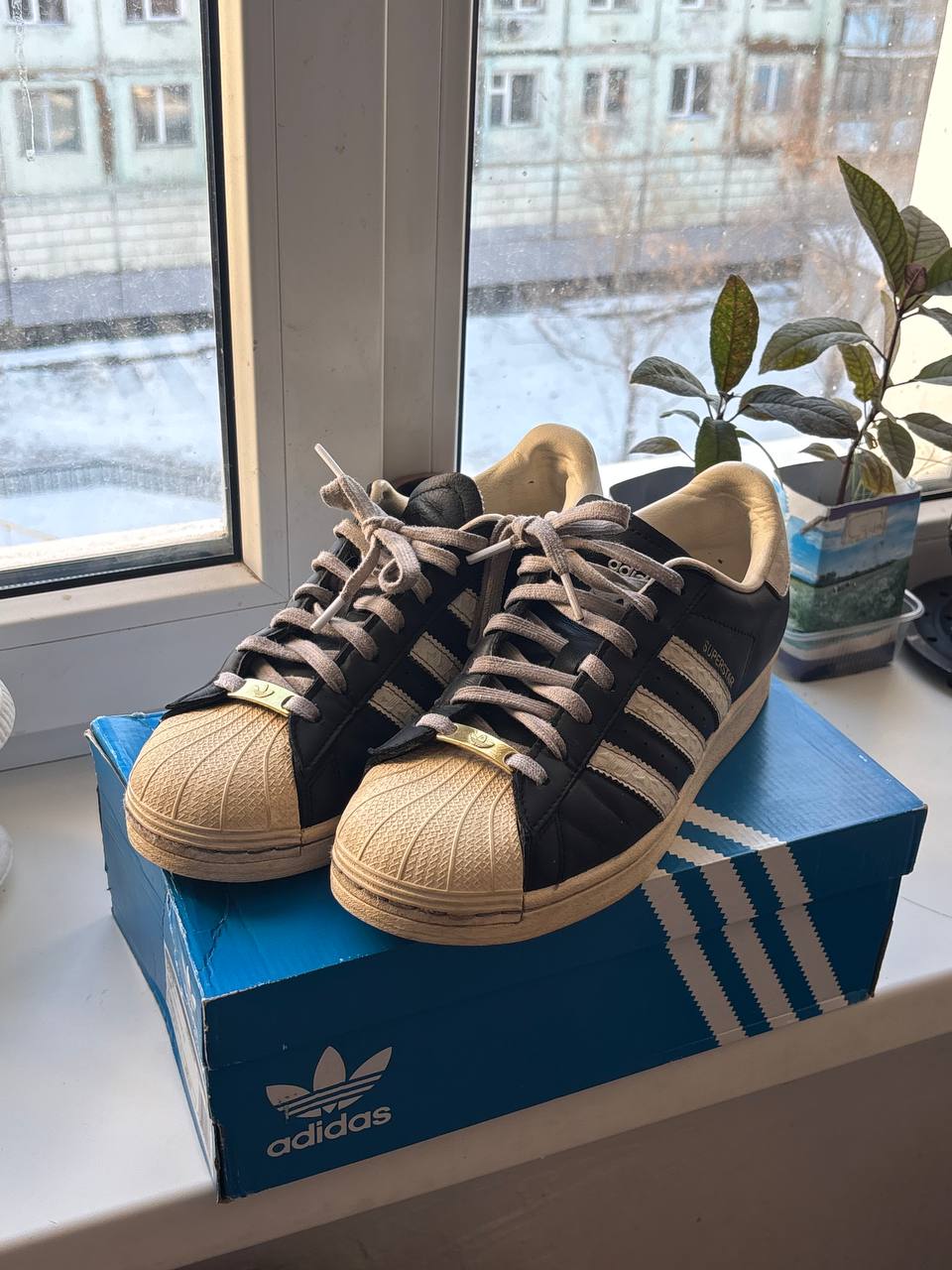 Продам Superstar Originals - частное объявление в Якутск