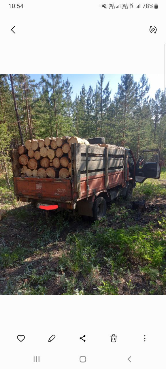Продажа дров сосна сырая перемешку с полусухой - частное объявление в Улан-Удэ