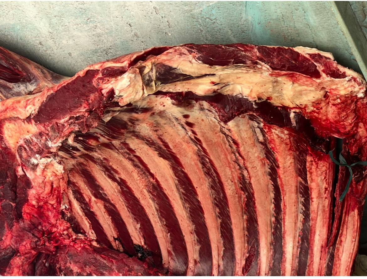 Говядина из Закаменского района - частное объявление в Улан-Удэ