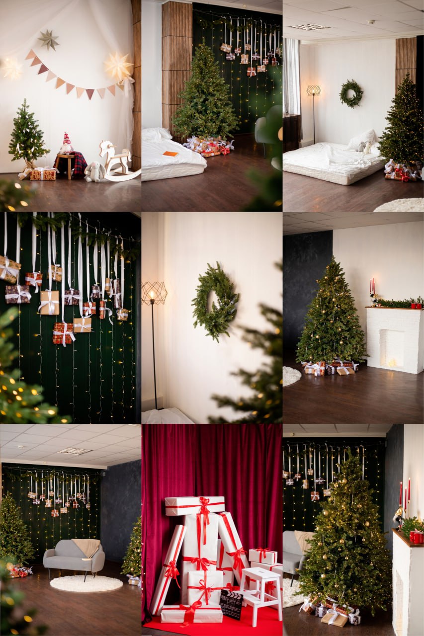 Новогодние фотодни с щенками самоеды, корги, хаски - Услуги в Барнаул - фото 4