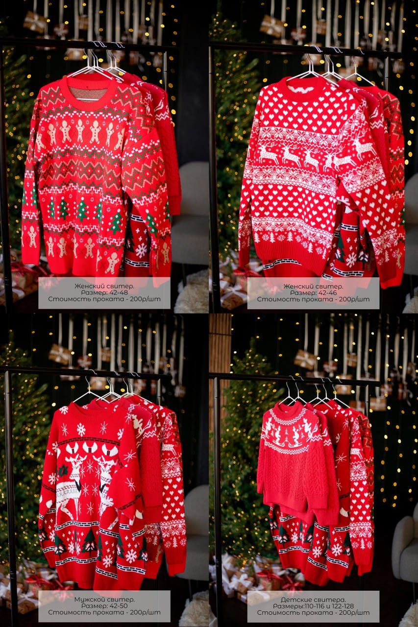 Новогодние фотодни с щенками самоеды, корги, хаски - Услуги в Барнаул - фото 5