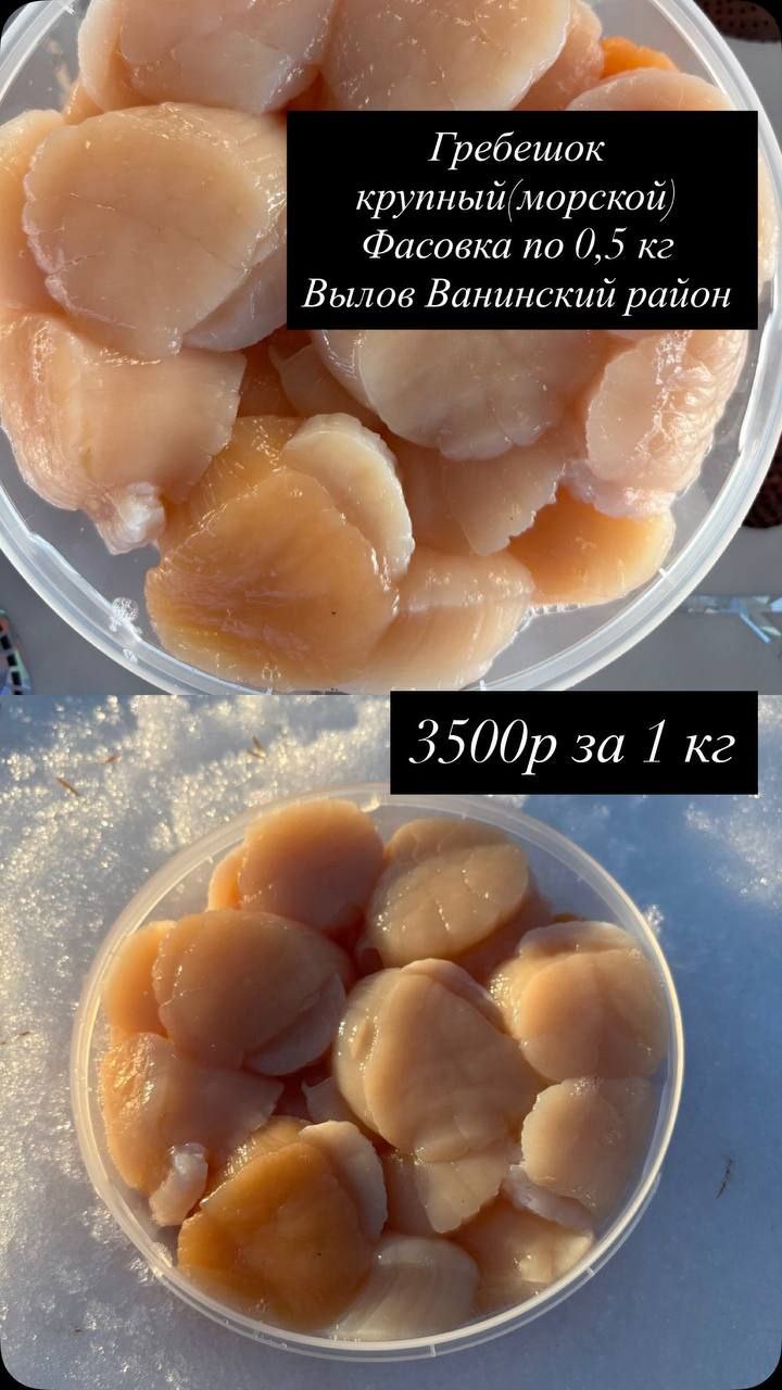 Барахолка Хабаровск - Услуги в Хабаровск - фото 3