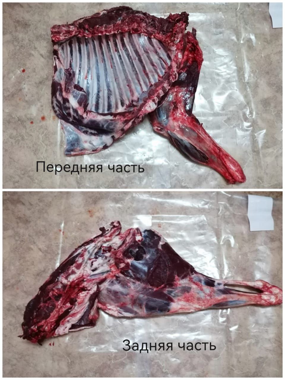 Продам мясо оленя - частное объявление в Уссурийск