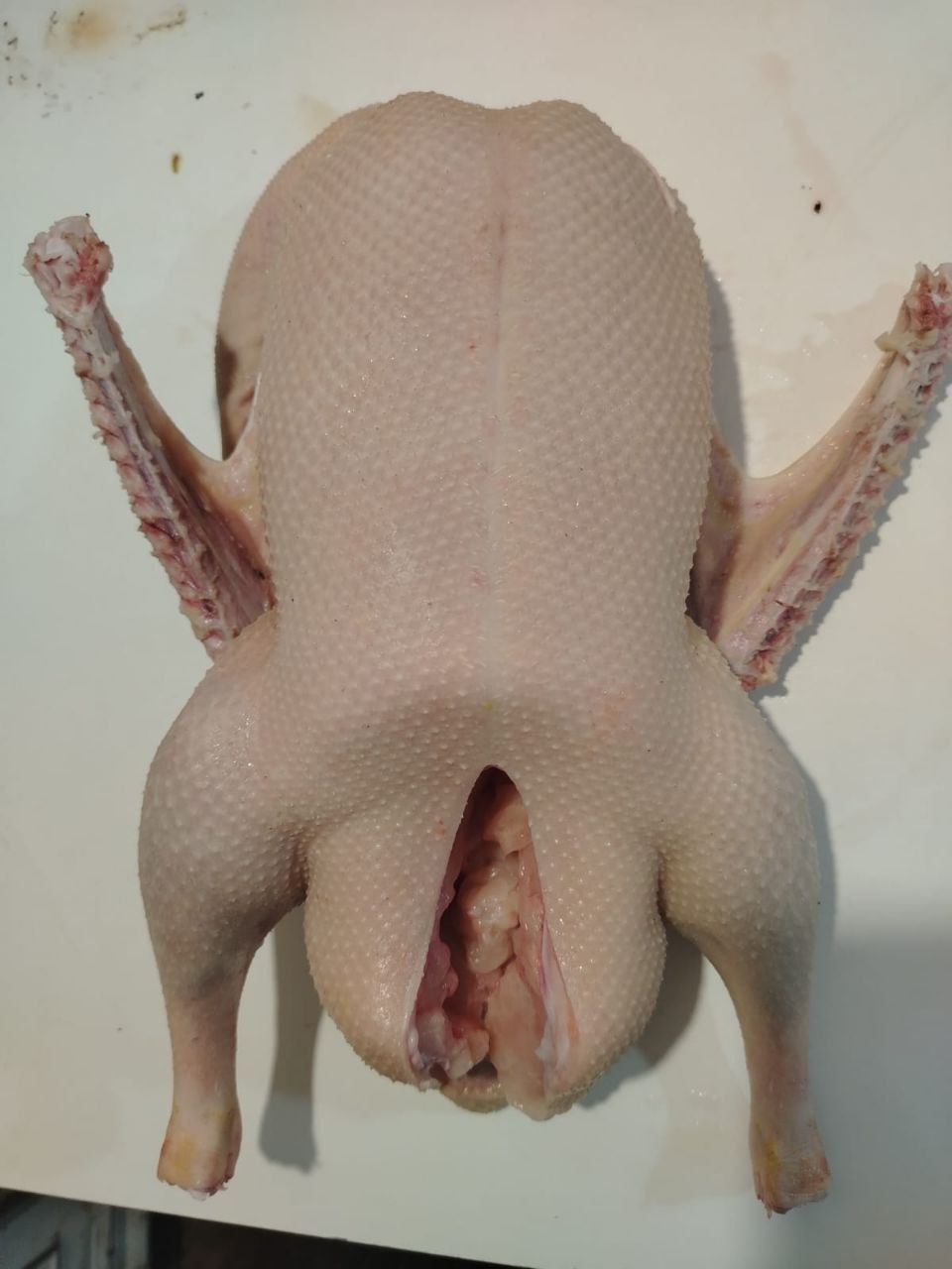 Продажа домашней птицы и мясной продукции - частное объявление в Орск