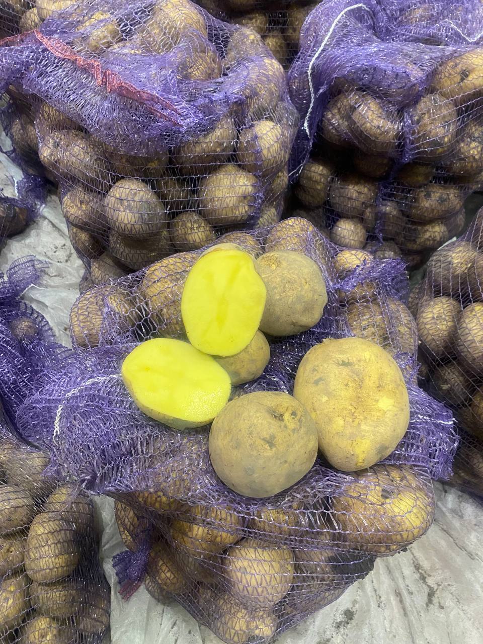 Продам картофель - Для дома и дачи в Тюмень