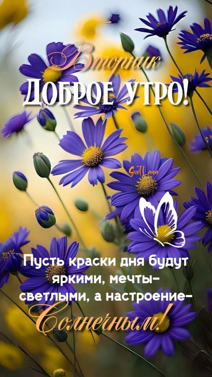 Мои открытки - Хобби и отдых в Тюмень