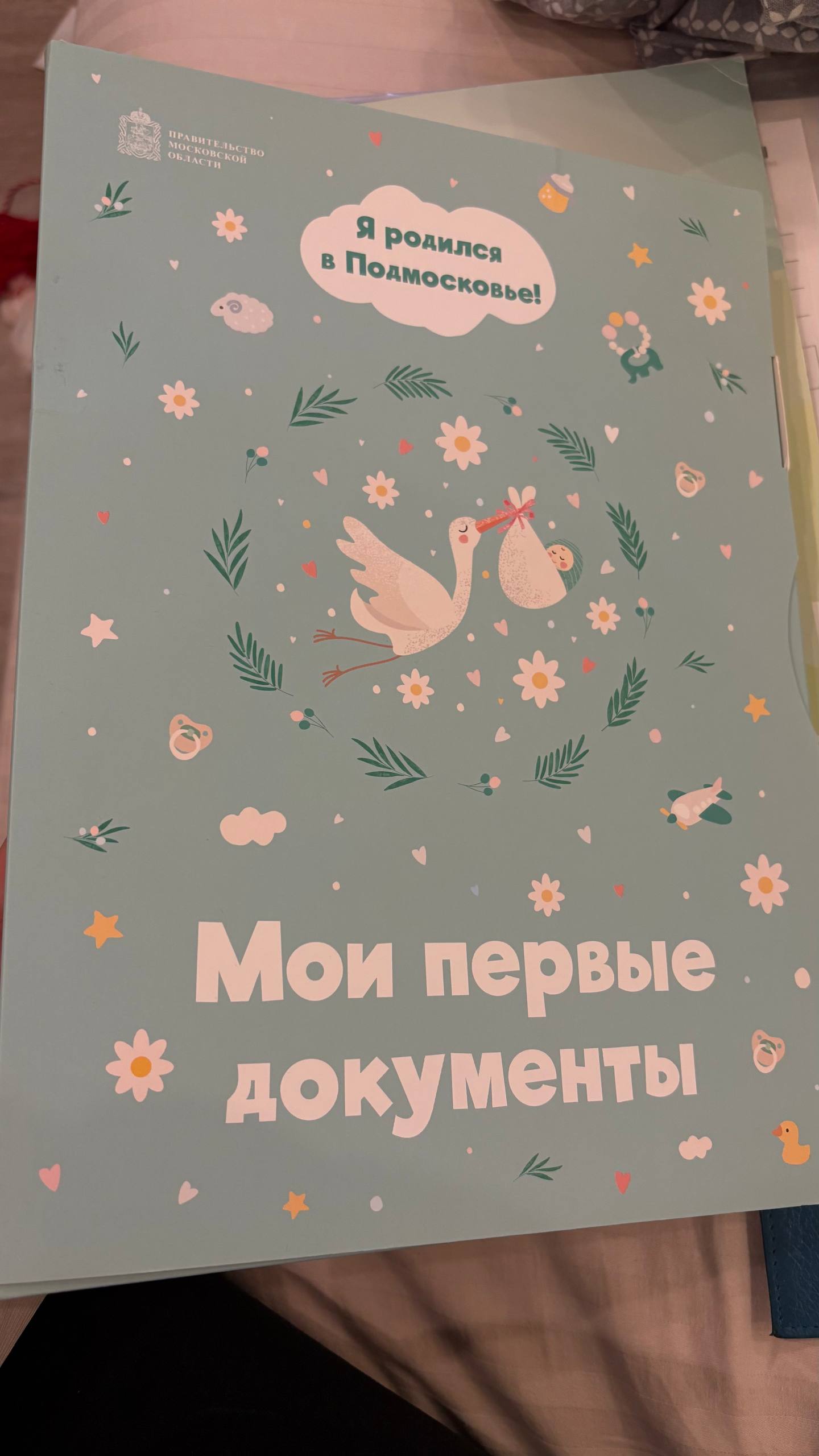 Сертификат прививок и фотоальбом - Товары для детей в Люберцы - фото 2