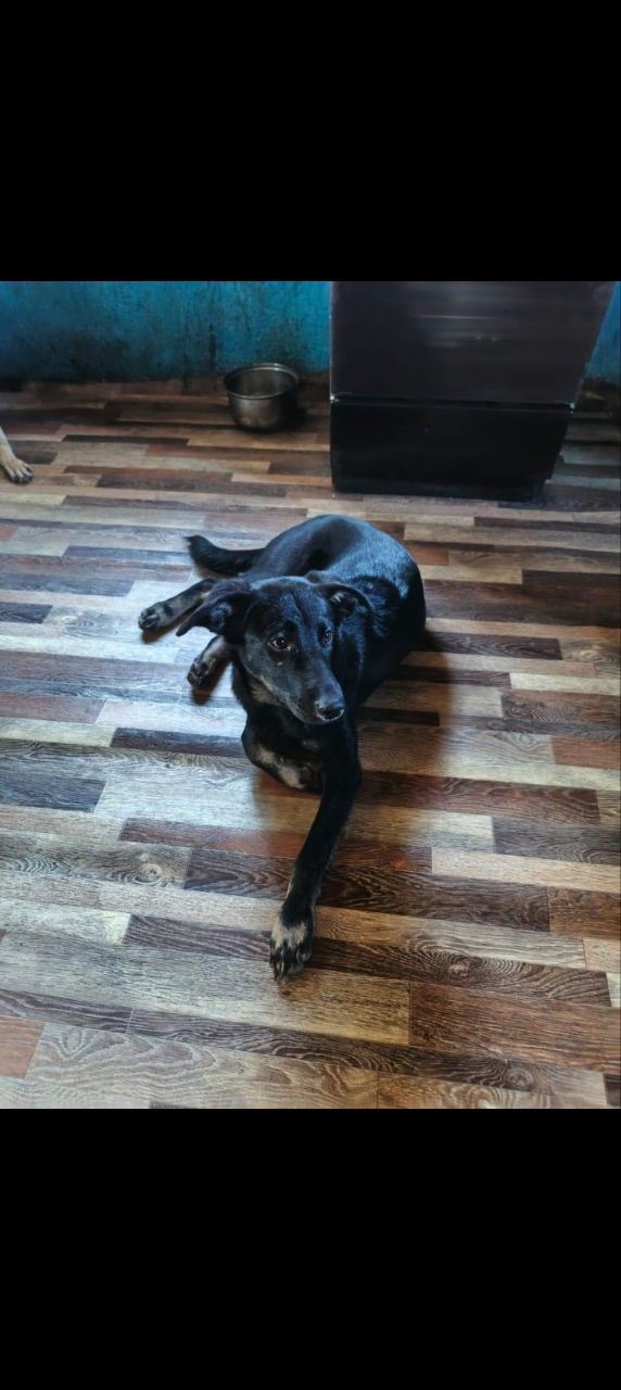 Барахолка объявления Орск - Хобби и отдых в Орск