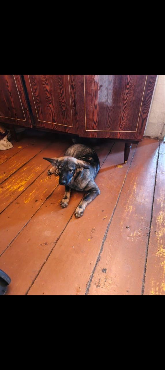 Барахолка объявления Орск - Хобби и отдых в Орск - фото 2