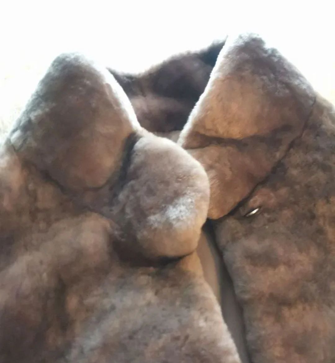 Шуба натуральный мех Andrea Mossi - Одежда в Москва - фото 3