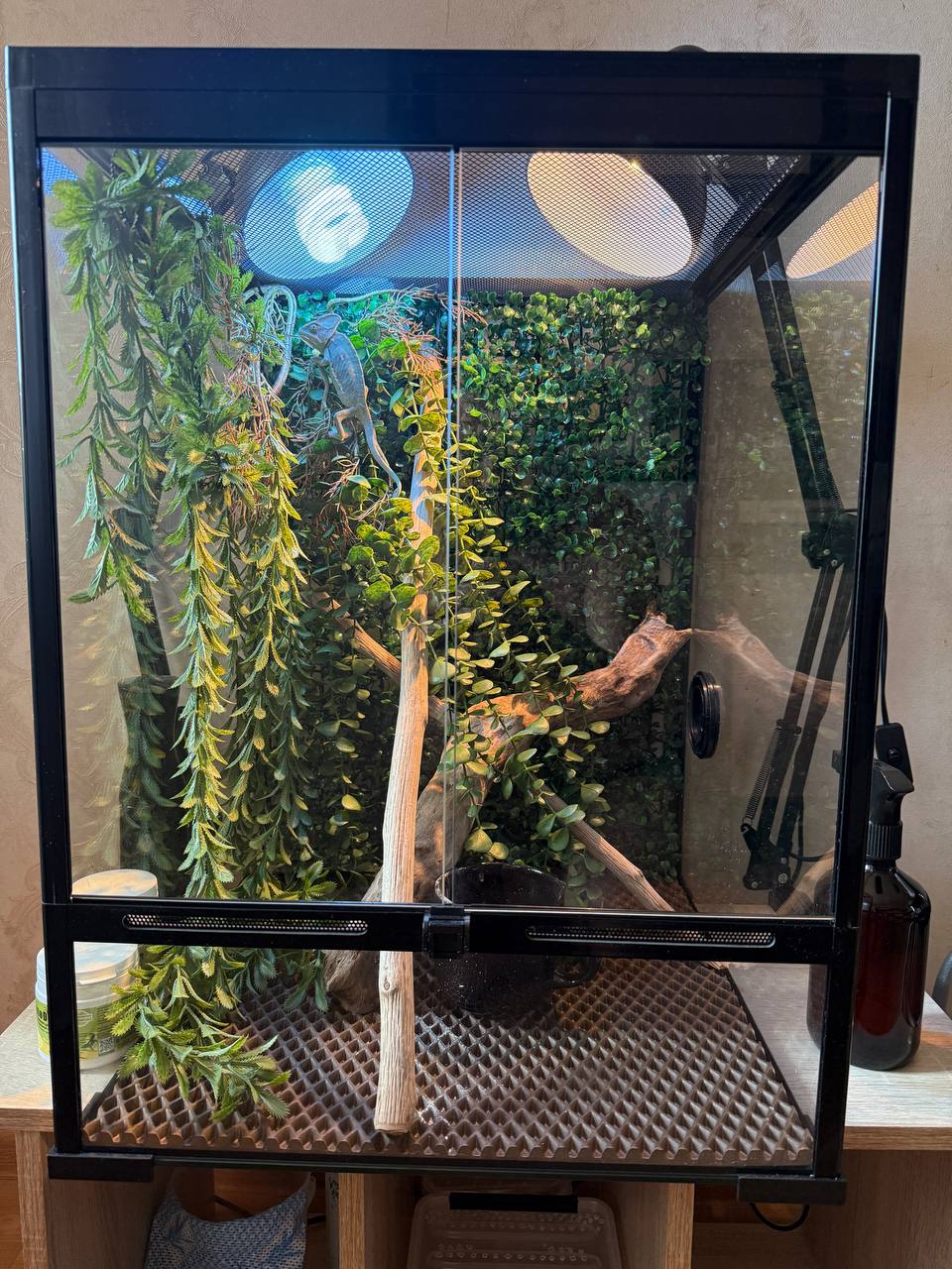 Продается террариум со всеми вещами - частное объявление в Набережные Челны