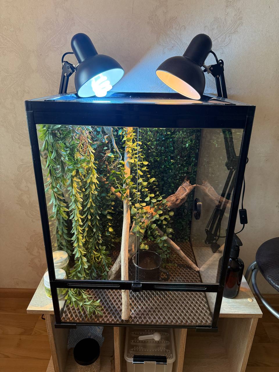 Продается террариум со всеми вещами - Животные в Набережные Челны - фото 2