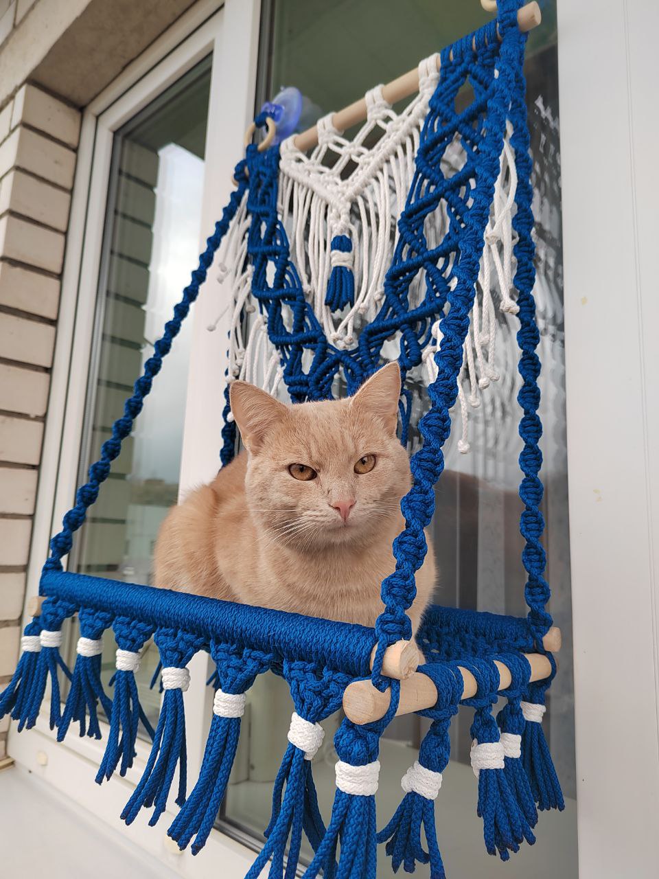 Гамак для кота на окошко - Товары для детей в Балашиха