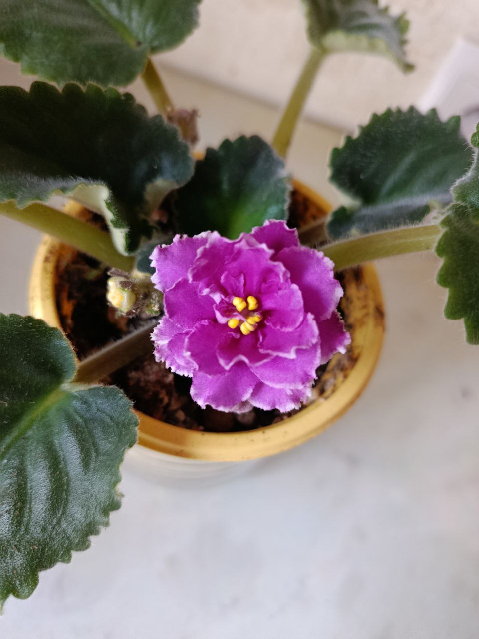 Объявление в Мытищах - Недвижимость в Мытищи