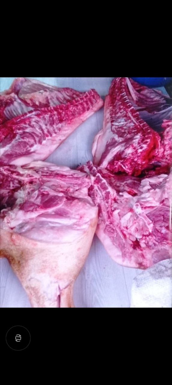 Продажа домашней свинины и сала - Животные в Тольятти