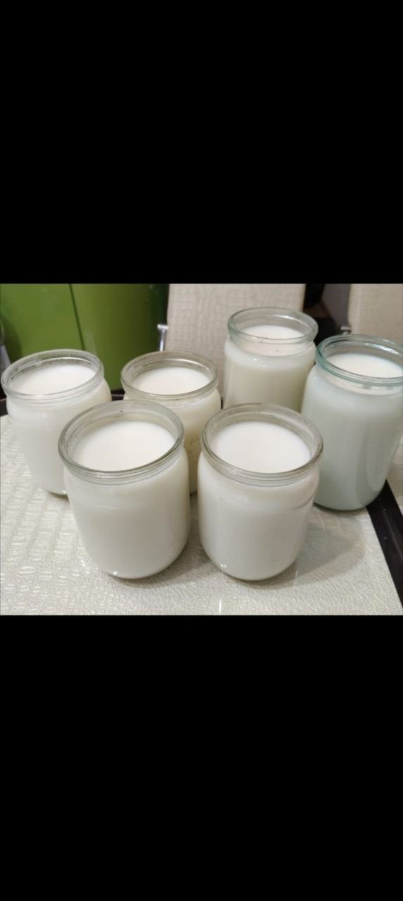 Продажа домашней свинины и сала - Животные в Тольятти - фото 3