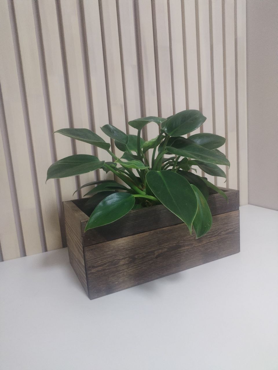 Кашпо деревянное тонированное - Для дома и дачи в Балашиха - фото 3