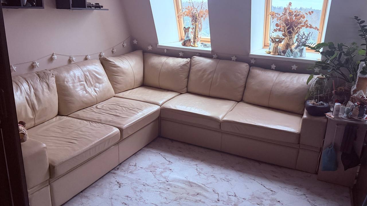 Диван из натуральной кожи с выкатным спальным местом - Для дома и дачи в Химки - фото 3