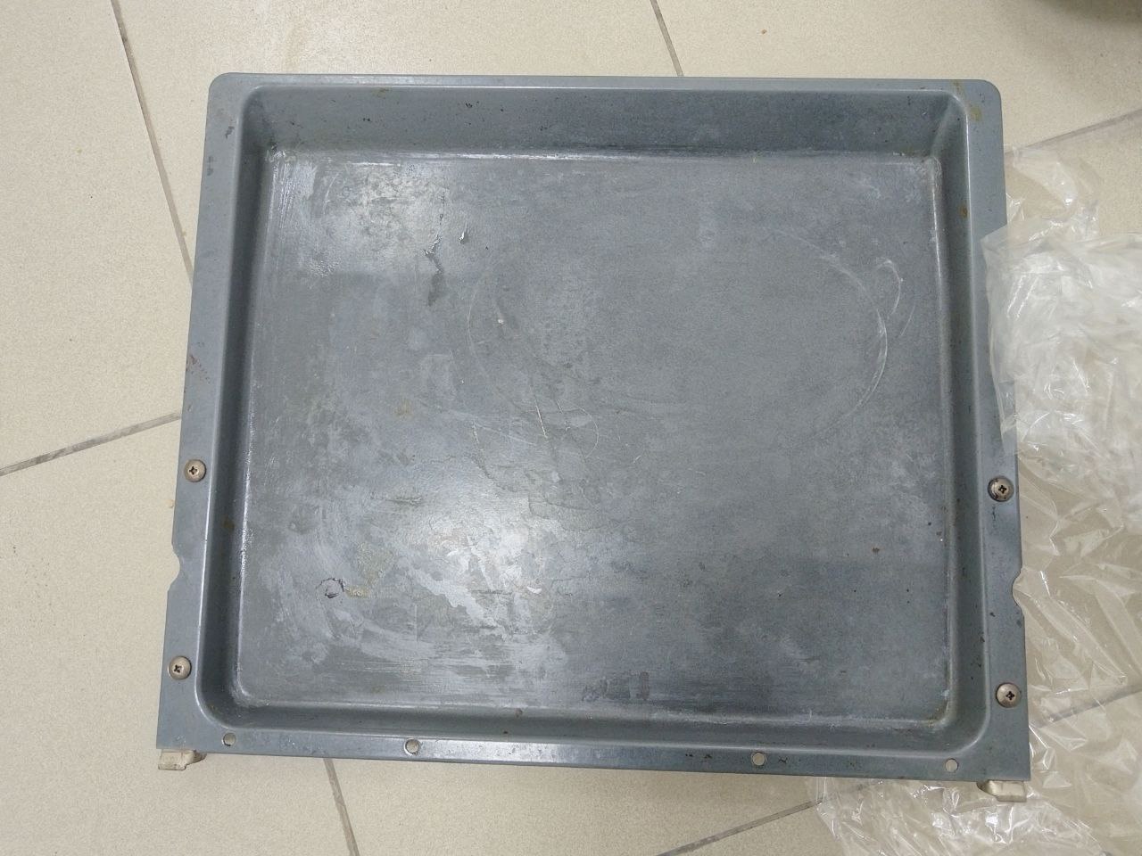 Провень среднего размера - Животные в Красногорск