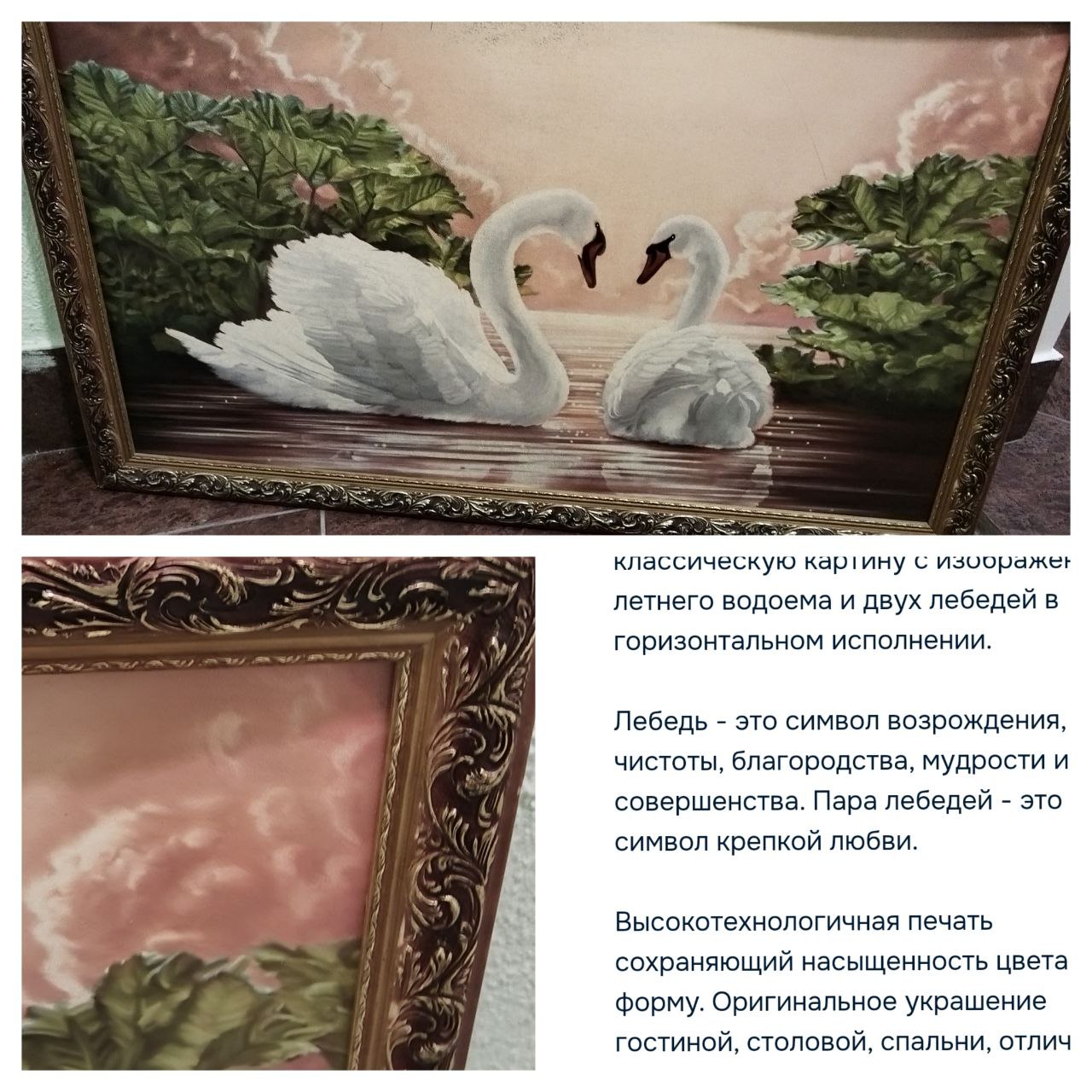 Интерьерная картина с лебедями - частное объявление в Красногорск